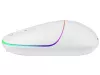 cumpără Mouse Tracer RATERO RF 2.4 White în Chișinău 