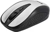 cumpără Mouse Tracer Joy II, Silver RF Nano în Chișinău 