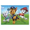 купить Пазл Clementoni Puzzle 2x20 Paw Patrol (24800) в Кишинёве 