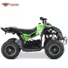 ATV electric Highper Renegade