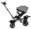cumpără Bicicletă-cărucior Richi (95728) Tricicleta gri pentru copii (JTRX1) în Chișinău 