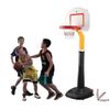 купить Игровой комплекс для детей Pilsan 03391 Set Basketball Profesional в Кишинёве 