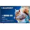 купить Телевизор Blaupunkt 65UB5000 WebOS в Кишинёве 