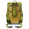 купить Детский рюкзак Deuter Cotogy cactus-kelp (3831026 1219 0) в Кишинёве 