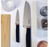 купить Нож Pinti 54004 Santoku Living, lama 17cm в Кишинёве 