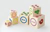 купить Игрушка Viga 50392 Nesting Stacking Blocks в Кишинёве 