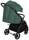 купить Детская коляска Lionelo Ingrid Green Emerald в Кишинёве 