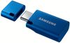 cumpără USB flash memorie Samsung MUF-128DA/APC în Chișinău 