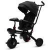 cumpără Bicicletă-cărucior Baby Mix 56314 Peony EVA Black în Chișinău 