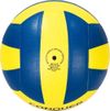 купить Мяч miscellaneous 50498 Cosco Volley Ball Conquer 4 в Кишинёве 
