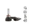 HB4 LED BOSCH Gigalight TWIN 12V 30W 6000K (2 buc) 