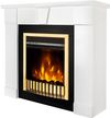 купить Камин электрический ArtFlame Elyon & Gala Gold, 950x1000x270mm, Alb в Кишинёве 