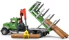 cumpără Mașină Bruder 2824 BD Camion forestier cu macara MACK, 43252 în Chișinău 
