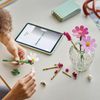 купить Конструктор Lego 11514 Botanicals. Flori Cosmos в Кишинёве 