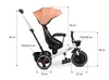 cumpără Bicicletă-cărucior Toyz 0357 Dush Tricicle Roz în Chișinău 