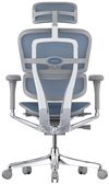 купить Офисное кресло ART Ergohuman Elite 2 Cobalt T-168-B4 EHE2-AG-HAM-5D-L в Кишинёве 