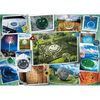 купить Пазл Trefl 10726 Puzzle 1000. Happy Smiley в Кишинёве 