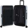 купить Чемодан Samsonite Restackd 68/25 (150704/6182) в Кишинёве 
