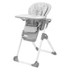 купить Стульчик для кормления Joie H1013DAPOR000 Mimzy Recline Portrait в Кишинёве 