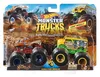 cumpără Mașină Hot Wheels FYJ64 Monster Trucks set 2 masini în Chișinău 