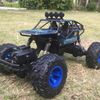 купить Радиоуправляемая игрушка New World 6248 Masina Rock Crawler 4x4 1:16 cu T/C, albastra, 2384D в Кишинёве 