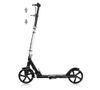 купить Самокат Chipolino DSSWI0262WH Swift white до 100кг в Кишинёве 