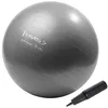 купить Мяч HMS 9477 Minge gimnastica d=75cm cu pompa Gray YB02 (17-42-179) в Кишинёве 