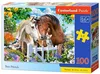 cumpără Puzzle Castorland Puzzle B-111121 Puzzle 100 elemente în Chișinău 