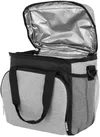 купить Сумка холодильник Noveen LBB510 Thermal Bag в Кишинёве 