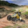 купить Радиоуправляемая игрушка Revell ATV New Dust Racer, 24641 в Кишинёве 