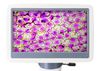купить Микроскоп Levenhuk D85L LCD Digital в Кишинёве 