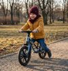 купить Велосипед Moni Ranger Maxi Green в Кишинёве 