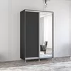 купить Шкаф Mobildor-Lux Арон с раздвижными дверцами из зеркала и ДСП (180x60x210H см) Антрацит в Кишинёве 