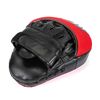 Lapa box (2 buc.) Yakimasport Focus Mitts PRO 100349 (4869) 