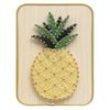 cumpără Set de creație miscellaneous DHBC28013 Set String Art 15x20 Ananas în Chișinău 
