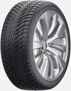 купить Шина Fortune 225/50 R17 98W FSR-401 m+s в Кишинёве 