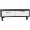 купить Тумба напольная для TV Trendy Leni Antracit, Alb (GTR000361) в Кишинёве 