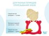 cumpără Iinel dentiție Roxy Kids RMT-004 Прорезыватель MEOW TEETHER, коралловый în Chișinău 