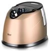 купить Отпариватель вертикальный Raf R.3046G, 2000W, Gold в Кишинёве 
