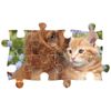 купить Пазл Clementoni Puzzle 104 MAxI Noli Cute Friends (25763) в Кишинёве 