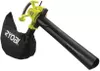 купить Воздуходувка RYOBI RBV3000CSV 5133002188 в Кишинёве 