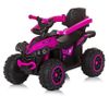 cumpără Tolocar Chipolino ATV ROCAHC02303PI pink în Chișinău 