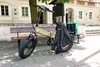 cumpără Bicicletă Sharp BK-FS08E-GY în Chișinău 