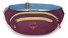 купить Поясная сумка Osprey Daylite Waist moody burgundy hip (810145598719) в Кишинёве 