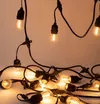 cumpără Iluminat decorativ miscellaneous S221-1 5м 10 ламп în Chișinău 