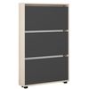 купить Полка для обуви Mobildor-Lux Leo Slim 90x16x125H cm Sonoma/Anthracite в Кишинёве 