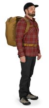 cumpără Rucsac sportiv Osprey Porter 46 Brindle Brown (843820166477) în Chișinău 