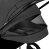 купить Детская коляска Lionelo Mika 2in1 Grey Graphite в Кишинёве 