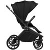 купить Детская коляска Lionelo Carucior 2in1 Mika Plus Black Onyx в Кишинёве 