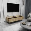 купить Тумба напольная для TV Trendy Kordon-140, Pasla 140x50x40cm (GTR000247) в Кишинёве 